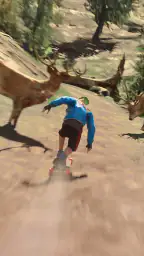ダウンヒルレーサー (Downhill Racer) screenshot