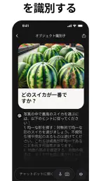 チャットボットアプリ：AIアシスタント screenshot