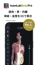 チームラボボディPRO 人体の解剖学アプリ 骨・筋肉・臓器 screenshot