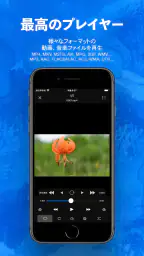 トルミル - 動画ダウンロードとバックグラウンド再生 screenshot
