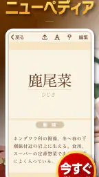 ニューペディア 〜辞書作成・語学学習アプリ〜 screenshot