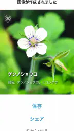 ハナノナ app screenshot