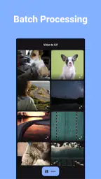 ビデオをGIFに変換 screenshot