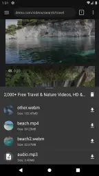 ビデオダウンローダーPro screenshot