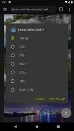 ビデオダウンローダーPro screenshot