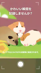 フォレストアイランド : 癒し系動物ゲーム screenshot