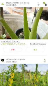 プラントネット (PlantNet) 植物図鑑アプリ screenshot