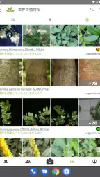 プラントネット (PlantNet) 植物図鑑アプリ screenshot