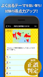 世界史一問一答（解説付き） screenshot