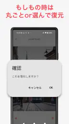写真バックアップ - 写真の保護や容量問題の解消に screenshot