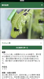 日本農業新聞ニュースアプリ screenshot