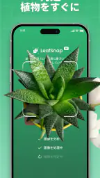 植物判定アプリ: LeafSnap screenshot