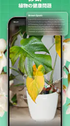 植物判定アプリ: LeafSnap screenshot