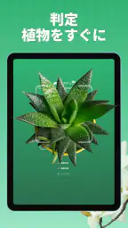 植物判定アプリ: LeafSnap screenshot