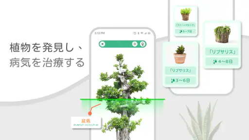 植物識別 - 植物アプリ screenshot