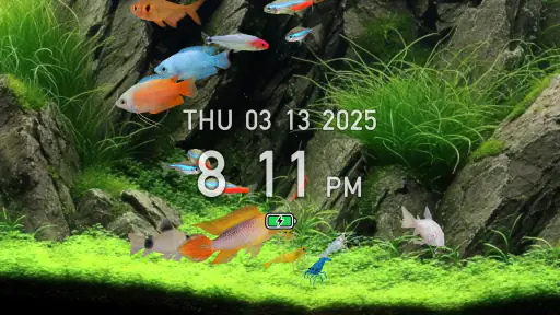 熱帯魚育成「ミニアクア」癒しのアクアリウム体験 screenshot