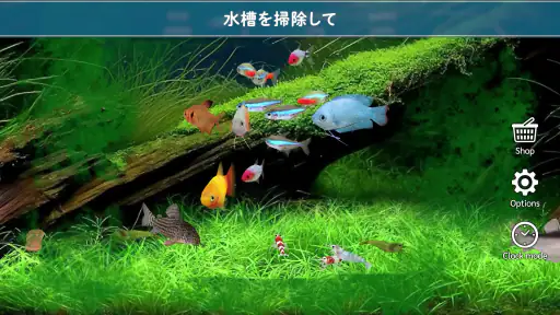 熱帯魚育成「ミニアクア」癒しのアクアリウム体験 screenshot