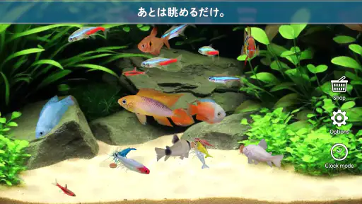 熱帯魚育成「ミニアクア」癒しのアクアリウム体験 screenshot