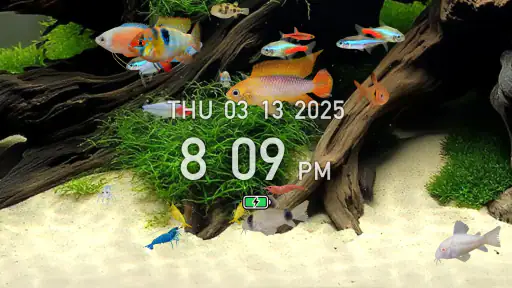 熱帯魚育成「ミニアクア」癒しのアクアリウム体験 screenshot