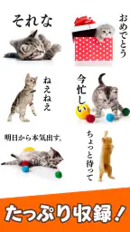 猫スタンプ（実写スタンプ） screenshot