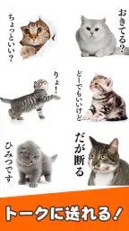 猫スタンプ（実写スタンプ） screenshot