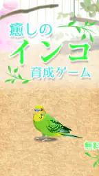 癒しのインコ育成ゲーム screenshot