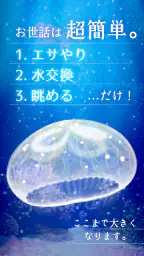 癒しのクラゲ育成ゲーム - 無料放置育成ゲーム screenshot