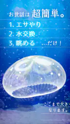 癒しのクラゲ育成ゲーム - 無料放置育成ゲーム screenshot