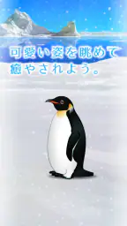 癒しのペンギン育成ゲーム screenshot
