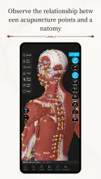 経絡ツボ3D screenshot