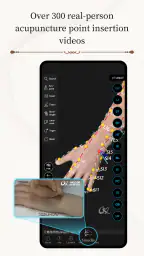 経絡ツボ3D screenshot