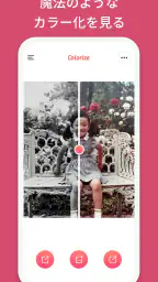 色付け(Colorize) - 古い写真に色を追加します screenshot