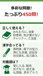 語彙力クイズ screenshot