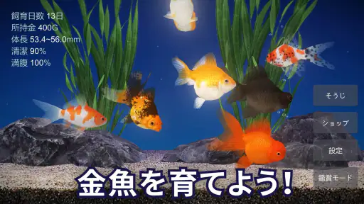 金魚育成アプリ・ポケット金魚 screenshot