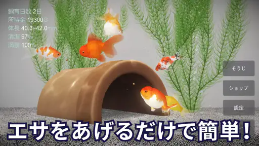 金魚育成アプリ・ポケット金魚 screenshot