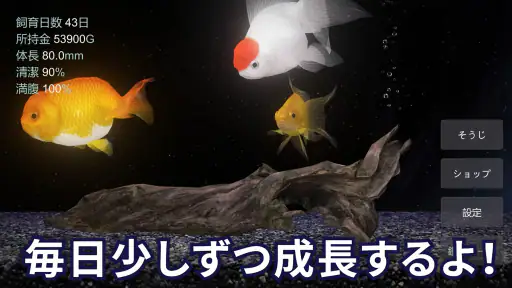 金魚育成アプリ・ポケット金魚 screenshot