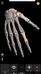 骨格 | 解剖学3D アトラス screenshot