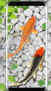 魚 ライブ 壁紙  水族館 コイ 背景 screenshot
