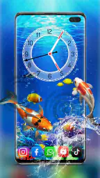 魚 ライブ 壁紙  水族館 コイ 背景 screenshot