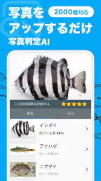 魚みっけ screenshot