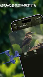 鳥の音：着メロ screenshot