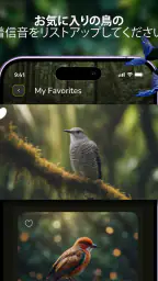 鳥の音：着メロ screenshot