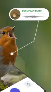 鳥の鳴き声識別。画像で鳥を識別する。 バードID完全ガイド screenshot