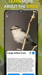 鳥の鳴き声識別。画像で鳥を識別する。 バードID完全ガイド screenshot