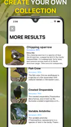 鳥の鳴き声識別。画像で鳥を識別する。 バードID完全ガイド screenshot