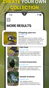 鳥の鳴き声識別。画像で鳥を識別する。 バードID完全ガイド screenshot