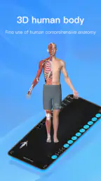 Anatomy Master screenshot