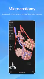 Anatomy Master screenshot