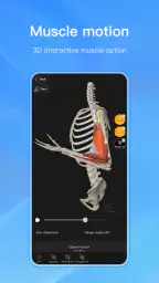 Anatomy Master screenshot