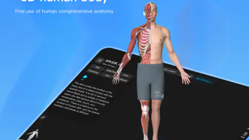 Anatomy Master screenshot